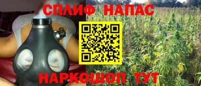 прущий лед Владимир
