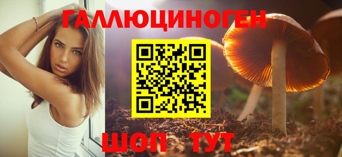Галлюциногенные грибы Psilocybine cubensis  Вход с VPN  Амурск 
